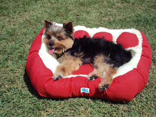 Cama Para Cão Ou Gato Pata Patinha Cor Vermelha