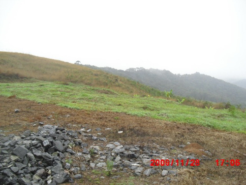 Imagem 7 de 11 de Sitio 25 Alq. (2 Casas E Estufa)