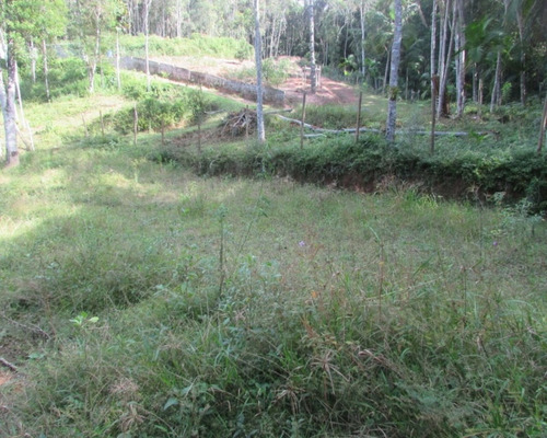Imagem 16 de 21 de Terreno - 04611 - 33229241