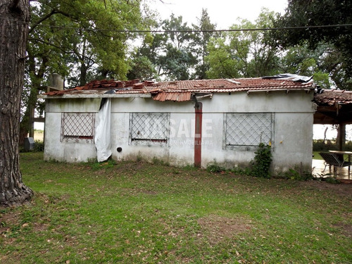 Imagen 4 de 9 de 29 Has Hortícolas Con Casa - Bavio, Magdalena