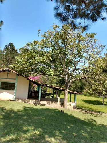 Imagem 10 de 30 de Sítio, Pra Quem Gosta Só Curtir, Pasto, Nascente, Lago, Córrego - V27