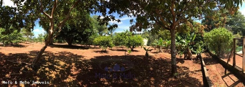 Imagem 12 de 15 de Chácara Para Venda Em Tuiuti, Vieiras - 1284_2-837902
