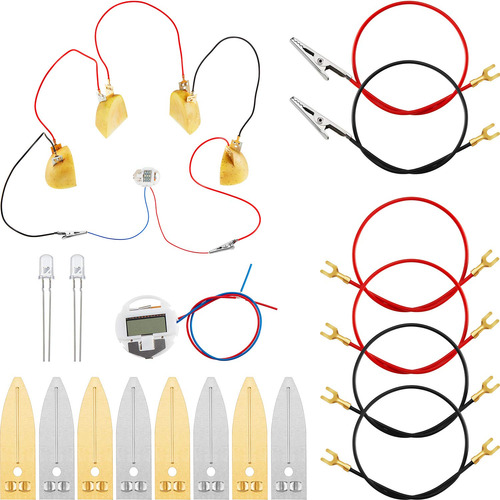 Kit De Experimento Científico De Batería De Frutas Con Reloj