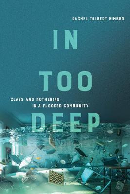 Libro In Too Deep : Class And Mothering In A Flooded Comm...