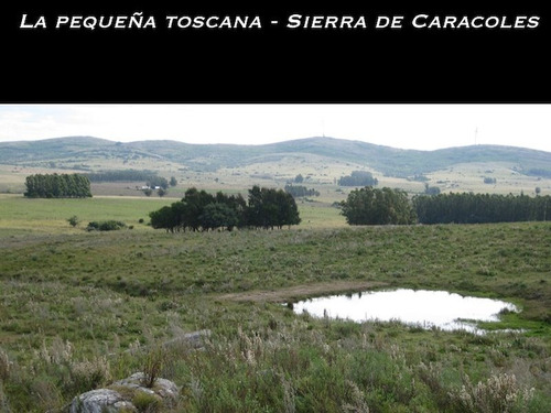Imagen 6 de 11 de Campo En Venta Otras 5 Hectáreas