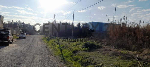 Imagen 3 de 5 de Venta De 2 Lotes De 10m X 46.28m,469m2 C/u, Total 938m2, En 133 Entre 518 Y 519.