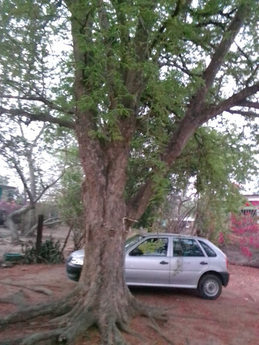 Terreno Amplio Con Casa