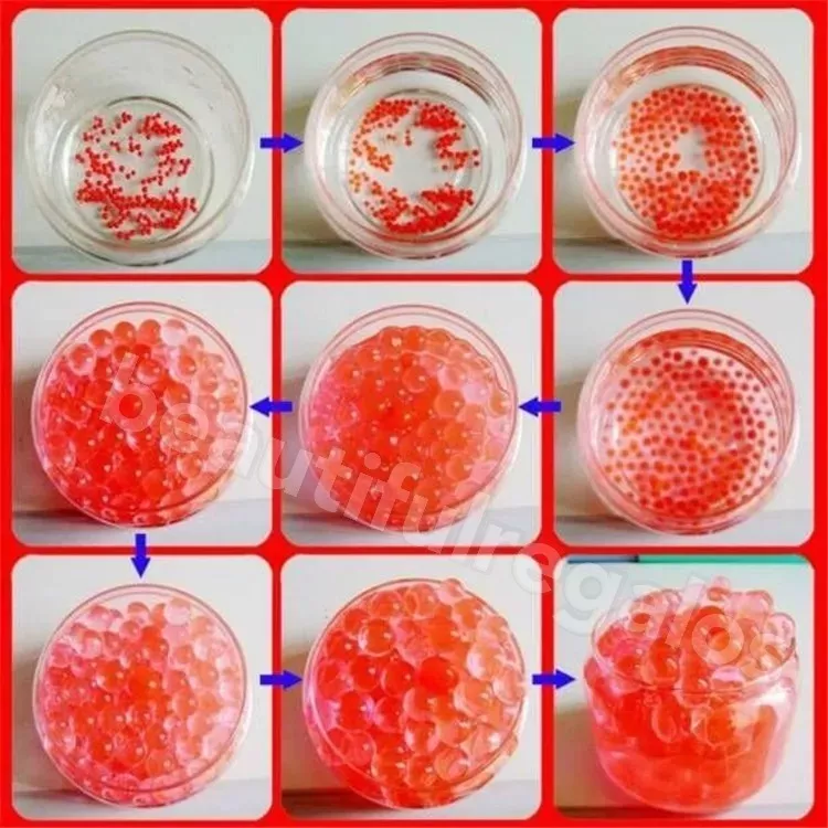 Tercera imagen para búsqueda de bolitas que crecen con el agua