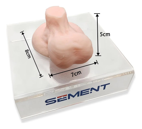 Modelo De Entrenamiento Con Punción, Biopsia Testicular Por