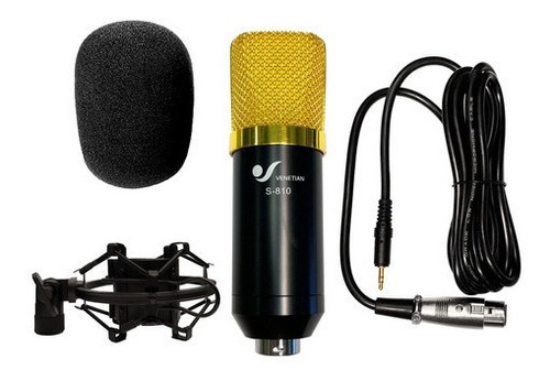 Microfono Condenser Estudio Karaoke Venetian S810 