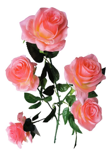 Ramo 5 Rosas Decora Con Encanto Jardín Hogar Oficina Eventos
