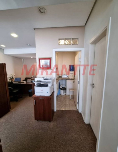 Imagem 1 de 16 de Comercial Em Bela Vista - São Paulo, Sp - 368717