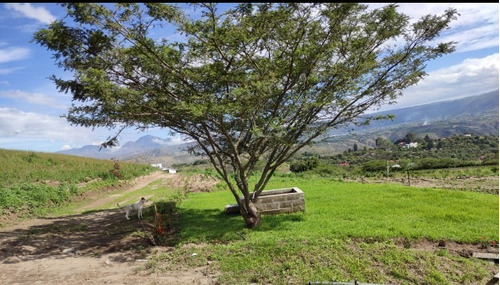 Imagen 1 de 4 de Hermosos Terrenos (chaquibamba-guayllabamba) Último Lote