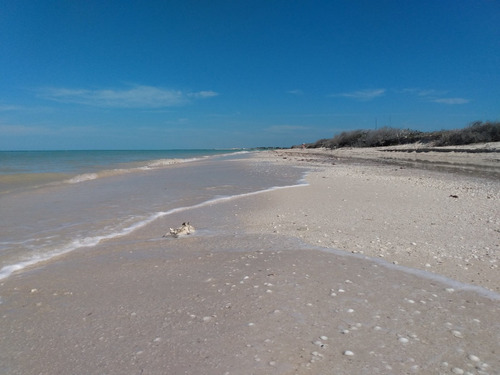 Terrenos En Venta Con Club De Playa En Hunucmá, Mérida, Yucatán
