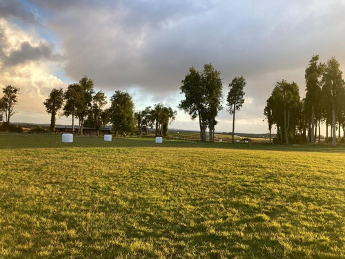  Parcela A 5' De La Costanera De P.v. Por Ruta Alerce