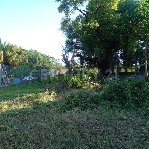 Terreno En Venta En Parque Ecológico De Viveristas, Acapulco