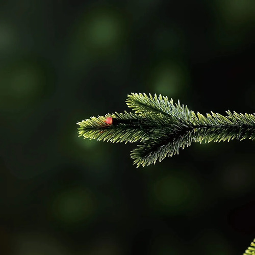Imagen 5 de 10 de Árbol De Navidad Twinkly De 2,13 M Luces Controladas Por App
