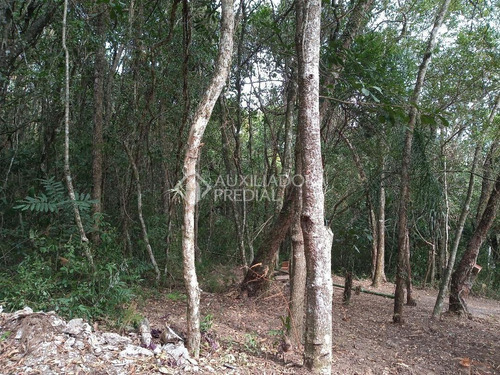 Imagem 2 de 11 de Terreno - Centro - Ref: 233072 - V-233072