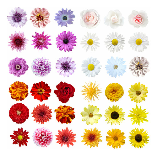 Jazmín Poliante Enredadera Polyantha 1 M Gratis A R.m