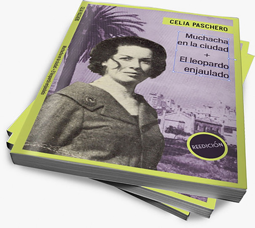 Imagen 3 de 3 de Muchacha En La Ciudad Poemas De Celia Paschero