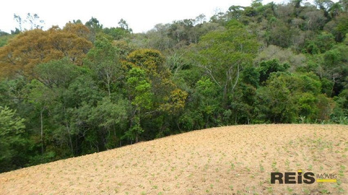 Imagem 29 de 30 de Sítio À Venda, 10000 M² Por R$ 250.000,00 - Piedade - Piedade/sp - Si0017