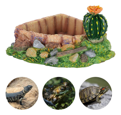 Plato De Agua Para Tortugas, Comedero Para Reptiles, Cuencos