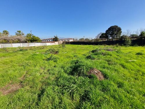 Espectacular Terreno A Pasos Del Centro De Olmue