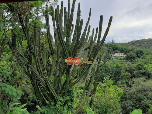 Imagem 15 de 18 de Chácara - Parque Valinhos - Ch0830