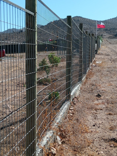 Terreno De 5000 Mts Cuadrados