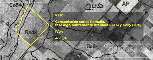 Imagen 23 de 26 de Chacra En Venta En San Nicolas De Los Arroyos - Plantación De Nuez Pecan En Producción