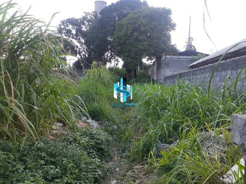 Imagem 5 de 6 de Terreno A Venda Em São Paulo São Miguel Paulista - Te00540 - 70735800