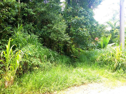 Imagem 5 de 8 de Terreno Na Serra Da Cantareira - Condomínio Parque Petrópoli