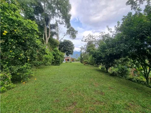 Finca De 3 Cuadras En Venta A 15 Minutos De Calarcá