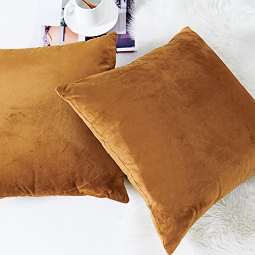 Lazzzy Funda De Almohada De Terciopelo Funda De Almohada Dec