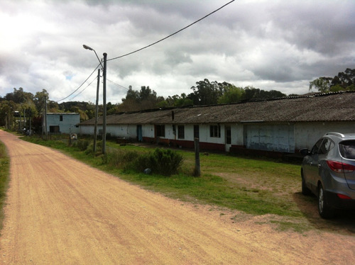 Terreno Ruta 39 Y Cantera De Marelli