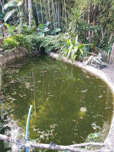 Imagem 7 de 15 de Imob03 - Chácara 6700 M² - Venda - 4 Dormitórios - Jardim Nova Ipelândia - Suzano/sp - Ch0090