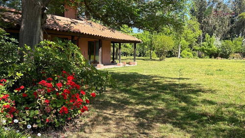 Casa En Parcela En Arriendo De 4d/3b En Calera De Tango