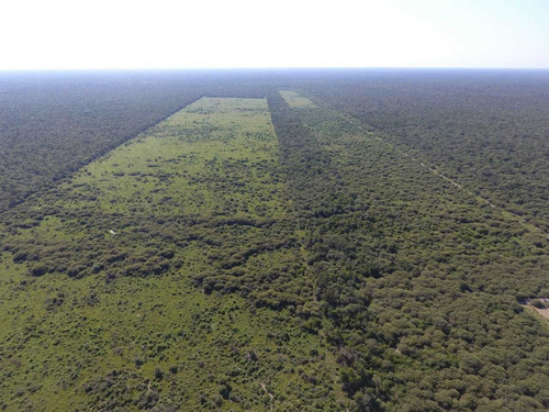 Imagen 5 de 8 de Campo En Formosa Argentina Agricola Ganadero Desmonte