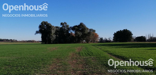 Venta Excelente Campo De 9.5 Has Sobre Ruta 34