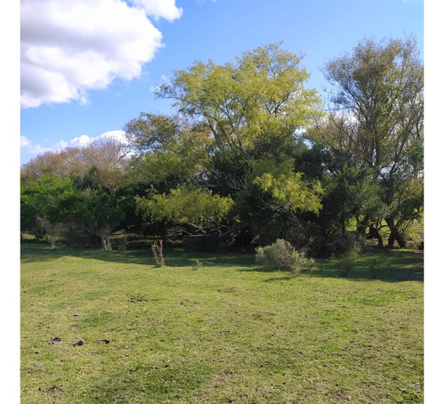 Vendo Muy Lindo Campo Sobre Ruta 33 Casa Todo Alambrado En 4 Potreros, Aguadas