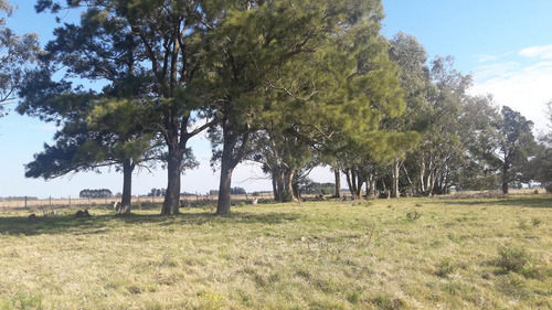 Unico Campo En Venta Con Excelente Costa A Río