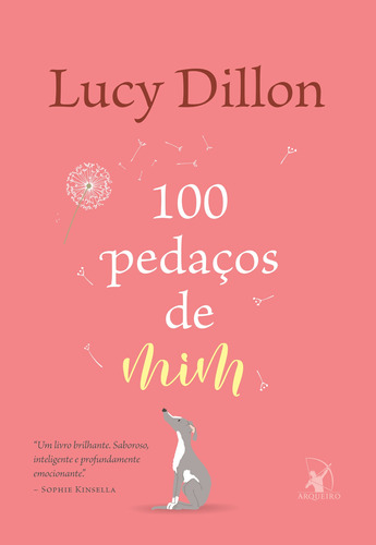 100 pedaços de mim, de Dillon, Lucy. Editora Arqueiro Ltda., capa mole em português, 2021