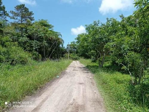 Imagem 2 de 4 de Terreno No Litoral À Venda, 250 M² - 7481 Lc