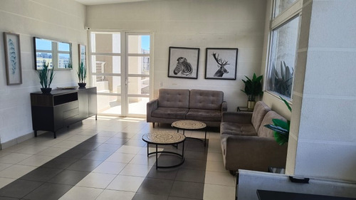 Arriendo Departamento , Comuna De Macul