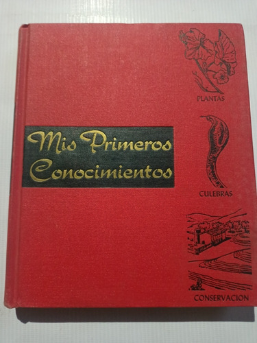 Mis Primeros Conocimientos Plantas Culebras Conservación 