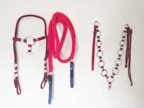 Comprar Cabeçada Peitoral Cor Vermelho E Redea Para Cavalo Mula Top