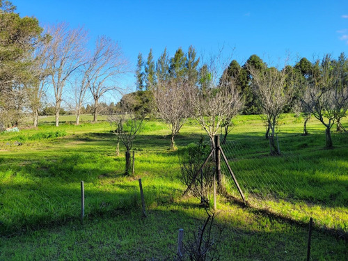 Imagen 10 de 14 de Linda Chacra De 4 Ha Muy Bien Ubicada Con Casa Y Contenedor