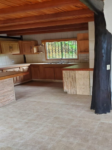 Terreno En La Colonia Tovar, Sector El Paují (cerca De La Casa Del Árbol) Tg