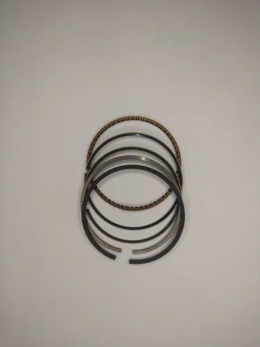 Anillos Std Md Tucán 110