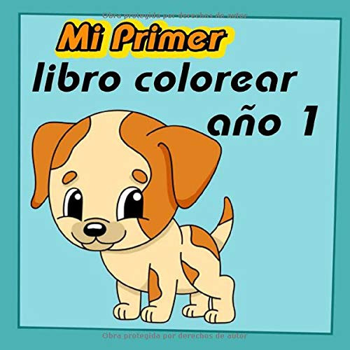 Mi Primer Libro Colorear 1 Año: Cuadernos Para Colorear Niño